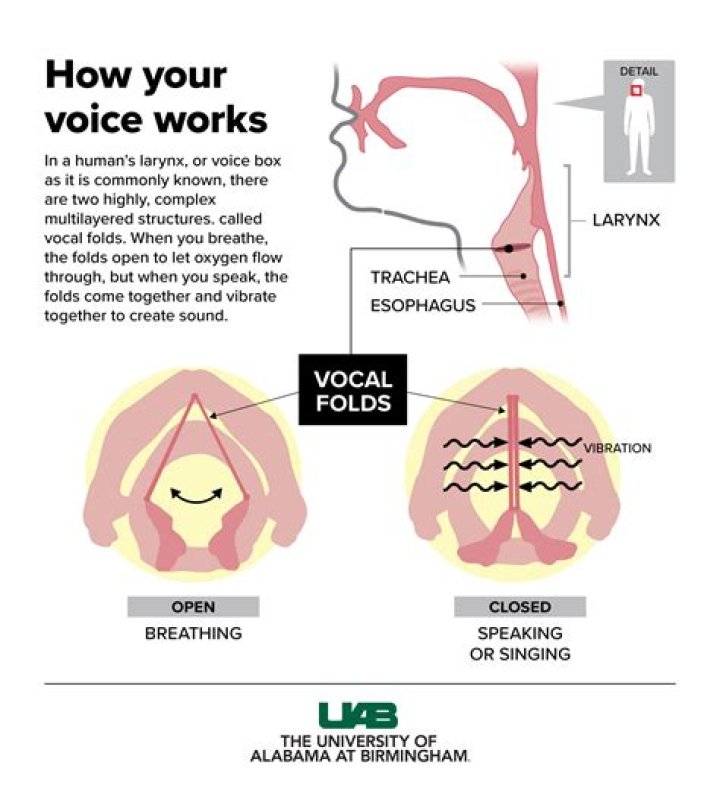 What can I drink to lose my voice?