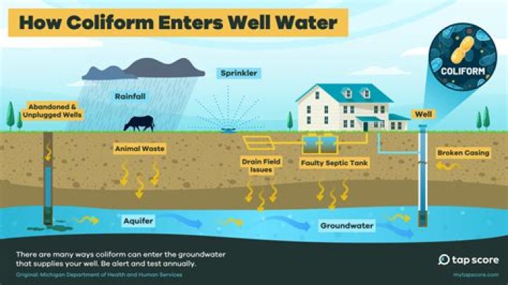 What causes silt in well water?