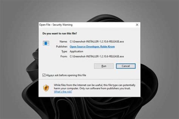 What consequences are faced if we install pirated software?