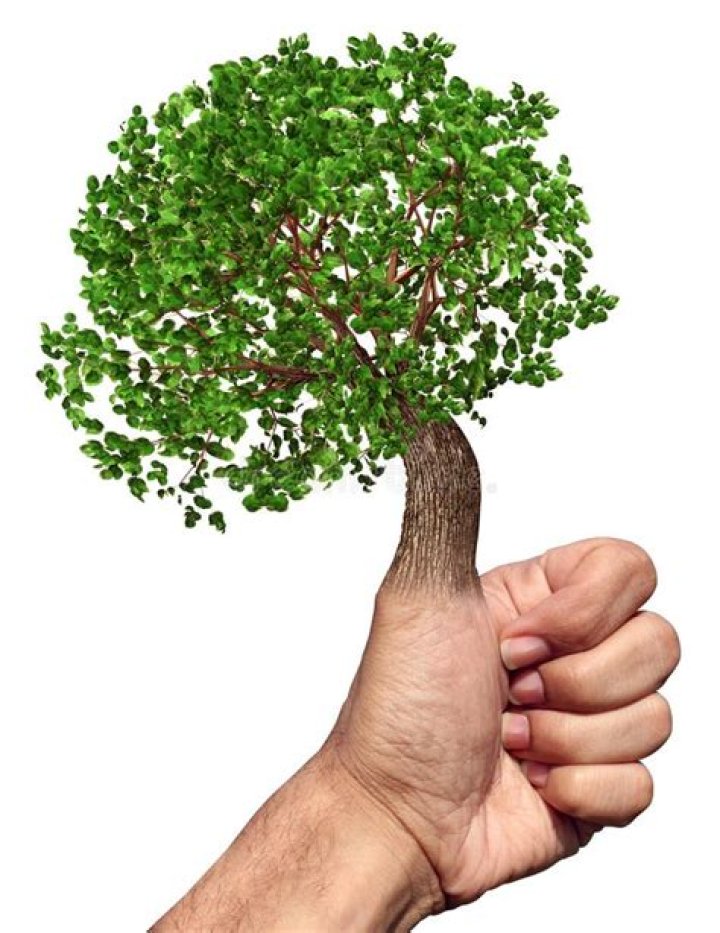 What do you call a person with a green thumb?
