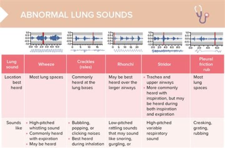 What does a collapsed lung sound like?