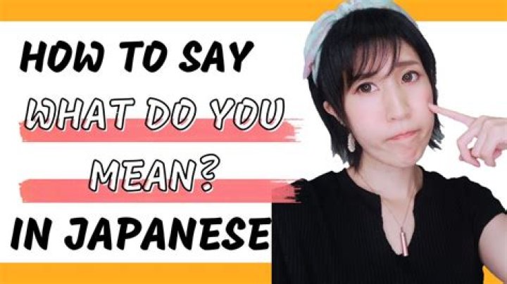 What does have a say mean?