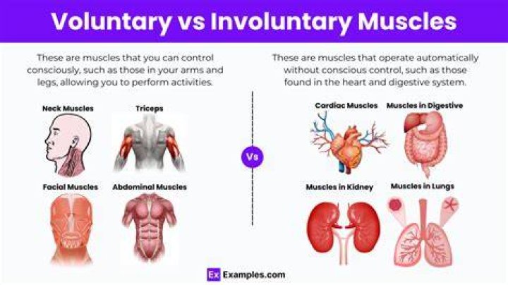 What does involuntary inactive mean?