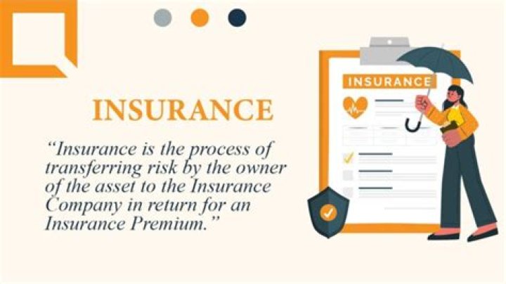 What does line of business mean in insurance?