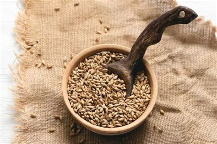 What does Malt Extract do?