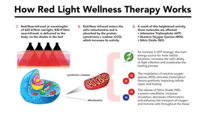 What does red light do to plants?