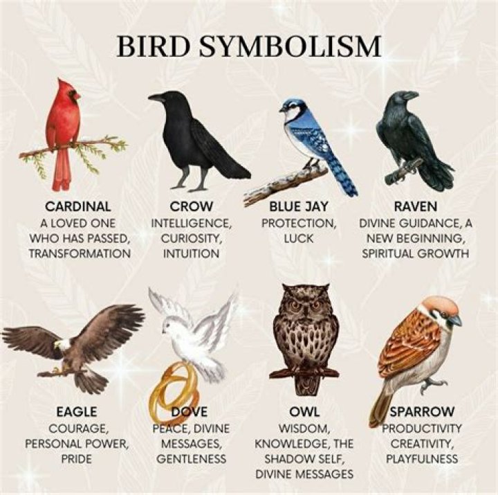 What does the nightingale bird symbolize?