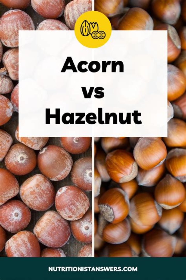 What factors determine the size of an atom?