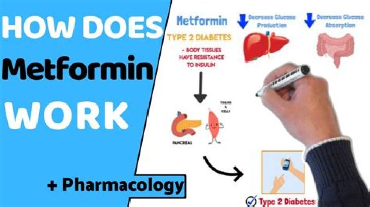What form does Metformin come in?