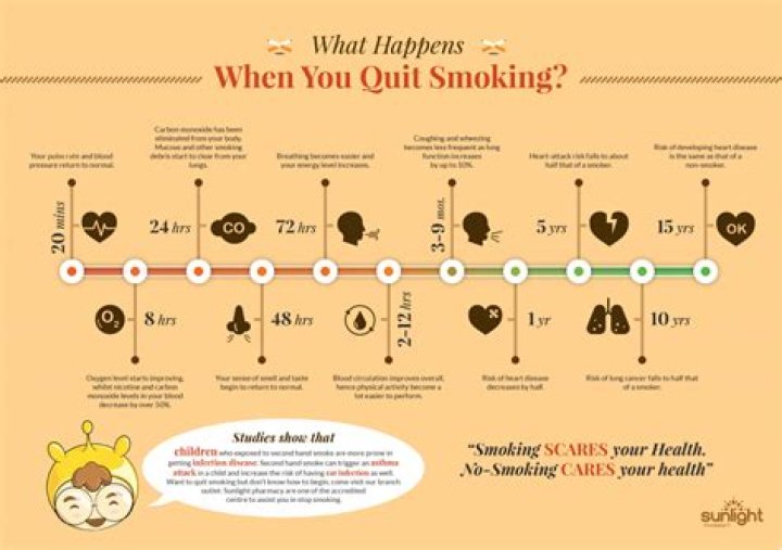 What happens to the body when you quit smoking?
