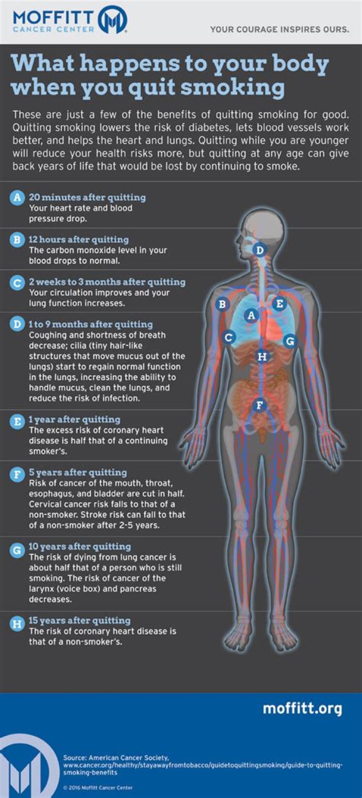 What happens to the male body after castration?