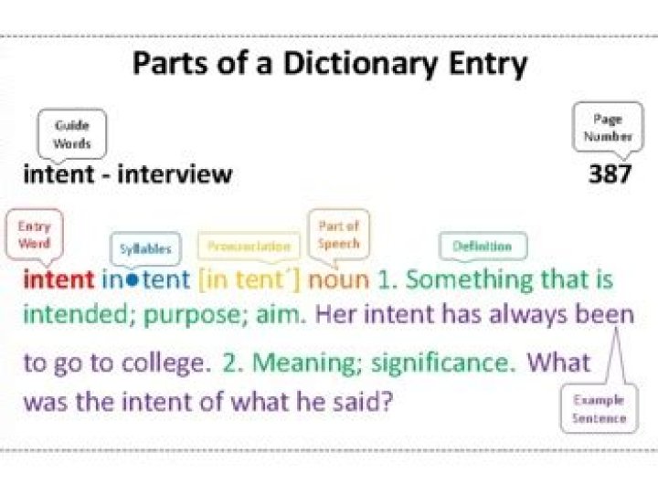 What information is included in a dictionary entry?