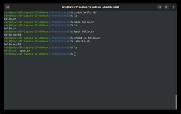 What is $1 in bash script?