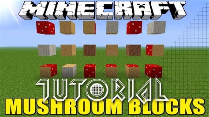 What is a mushroom block?
