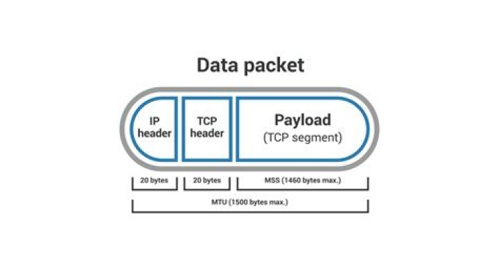 What is a packet number?