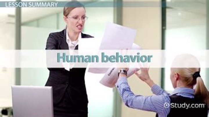 What is a person who studies human behavior called?