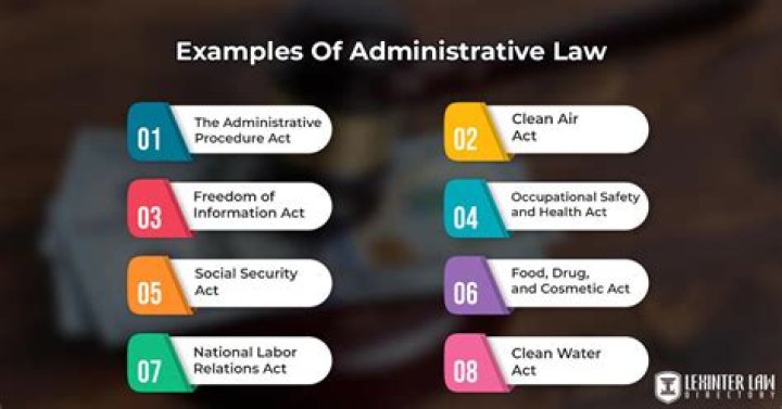 What is an enabling statute in administrative law?