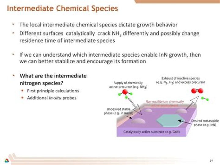 What is an intermediate species in chemistry?