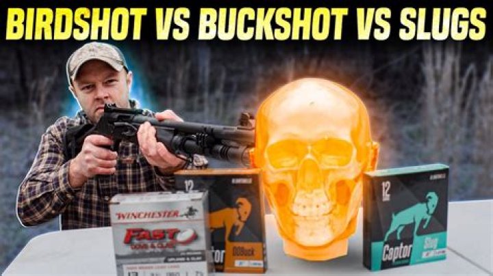 What is better buckshot or slug?