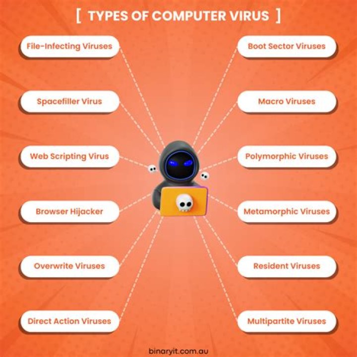 What is computer virus example?