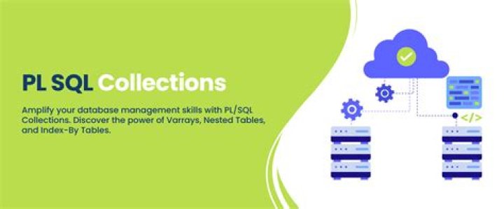 What is execute immediate in PL SQL?