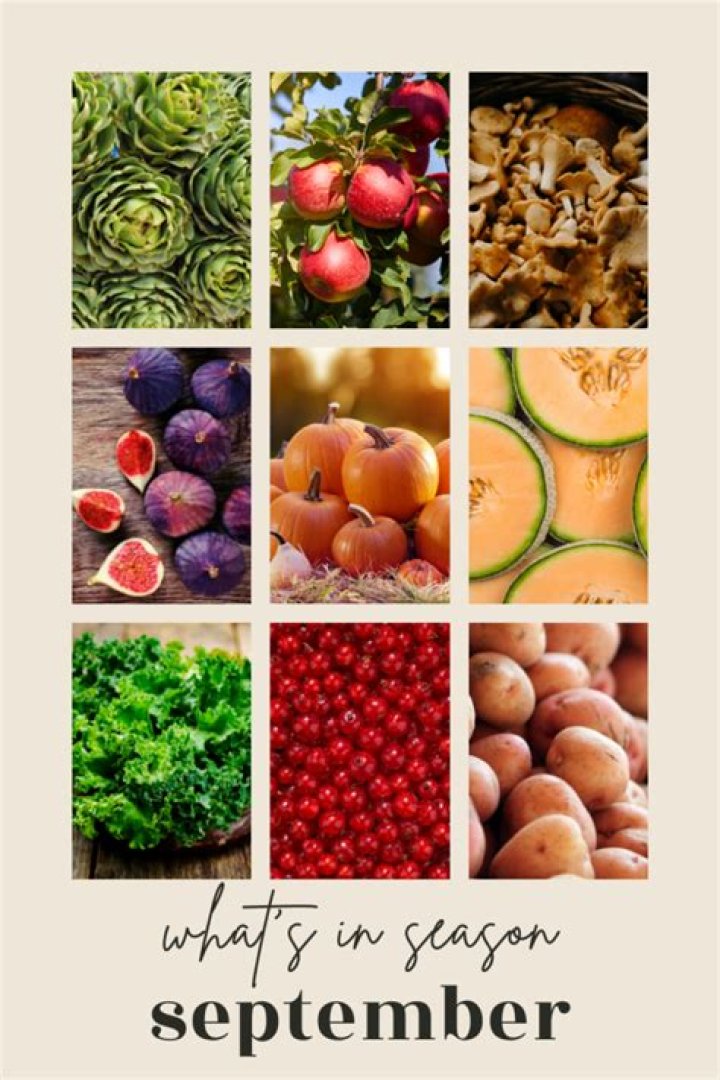 What is in season in Colorado?