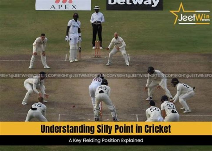 What is silly point in cricket?
