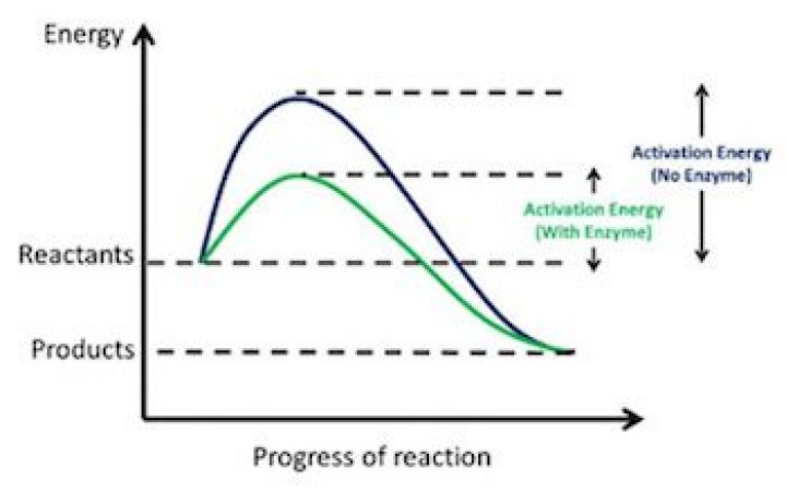 What is the definition of activation energy in chemistry?