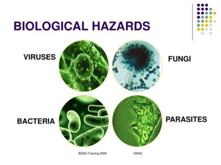 What is the definition of biological hazards?