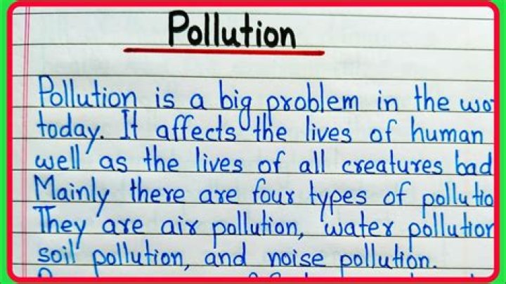 What is the essay of pollution?
