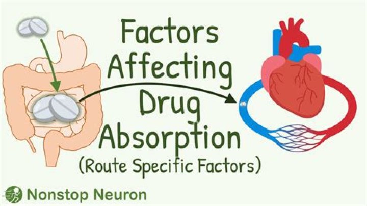 What is the fastest route of absorption?