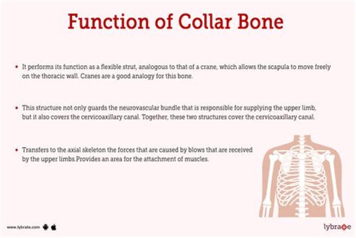 What is the function of a chair?
