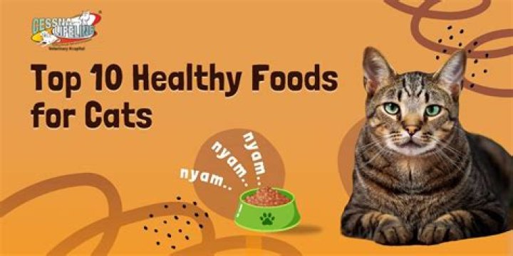 What is the healthiest cat food on the market?