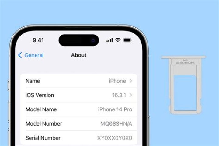What is the IMEI number on iPhone used for?