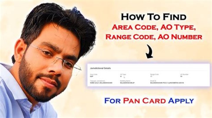 What is the meaning of AO type in pan application?