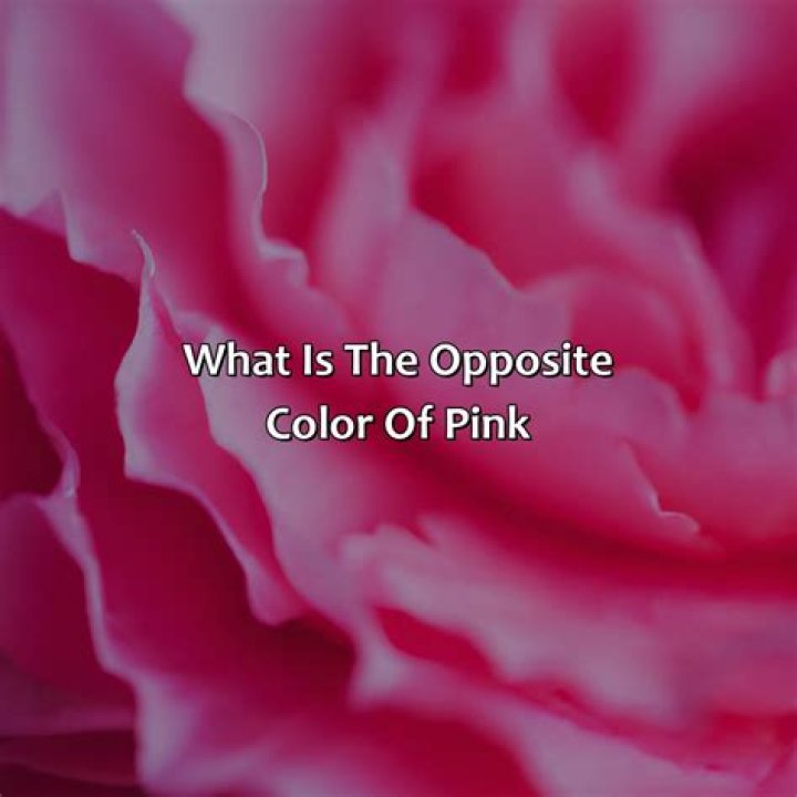 What is the opposite of sweet wine?