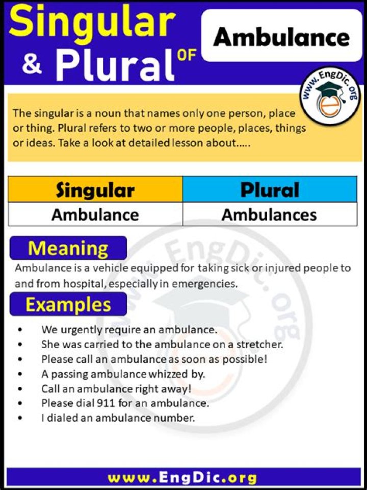 What is the plural of niece?