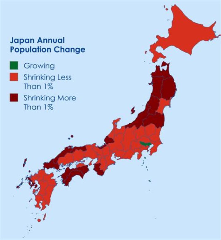 What is the problem with Japan's future population?