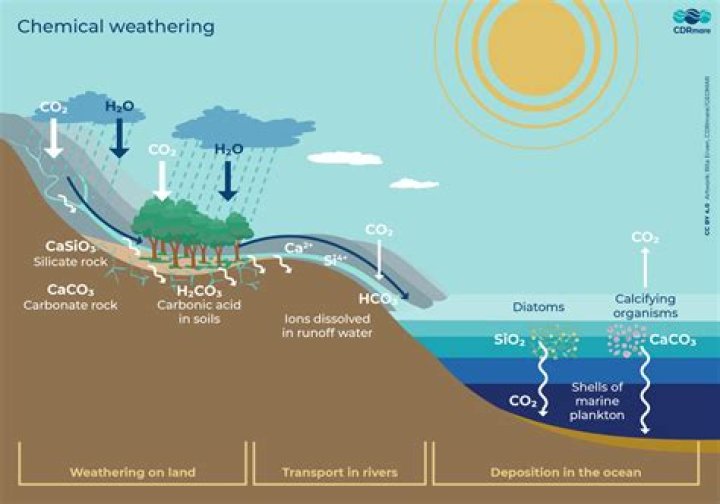 What is the role of carbonic acid and oxygen in chemical weathering?
