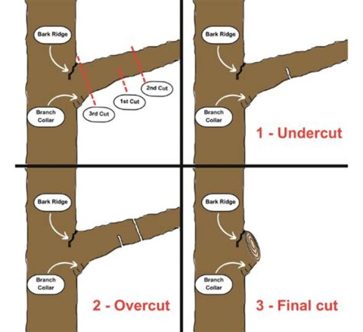 What is the three cut method?