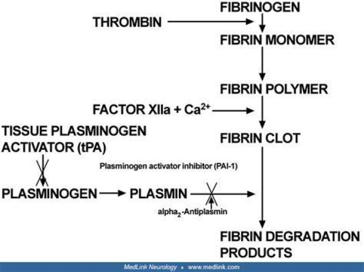 What is tissue plasminogen activator used for?