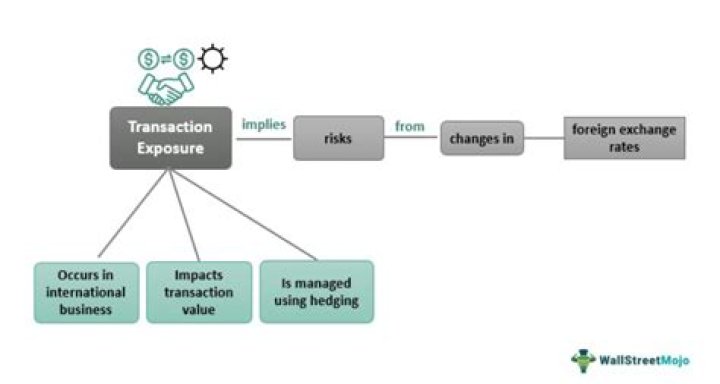 What is transaction translation and economic exposure?