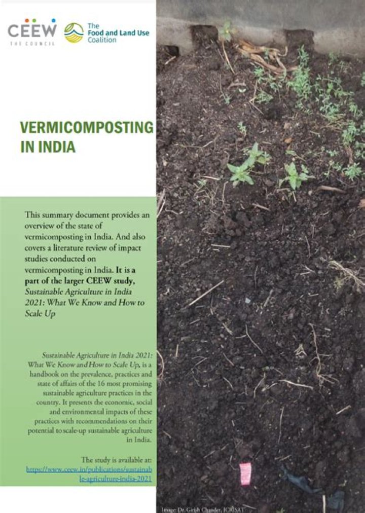 What is vermicomposting process? | ContextResponse.com