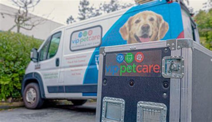What is VIP pet care?