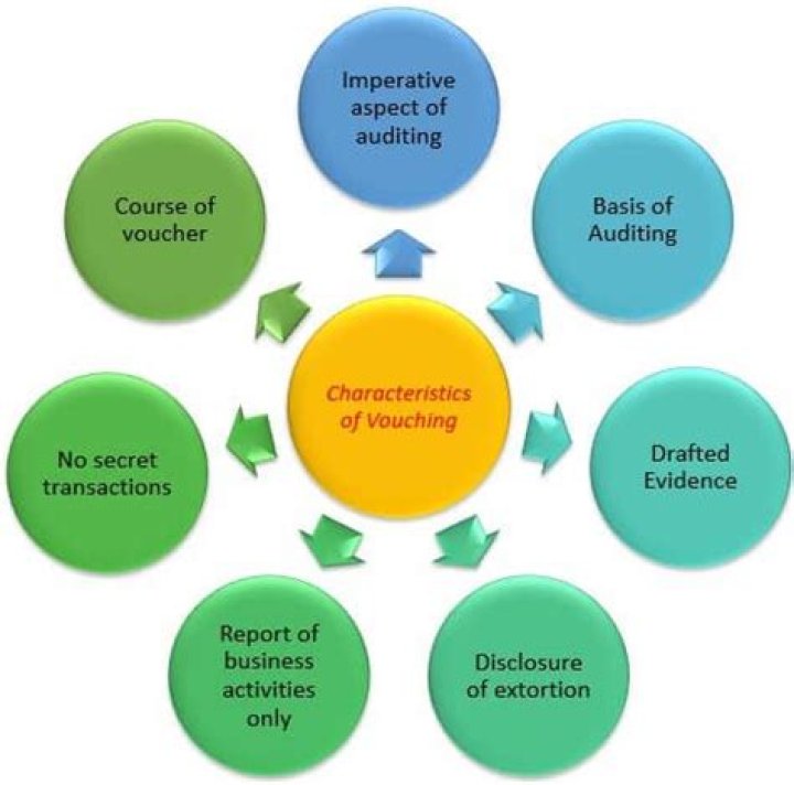 What is vouching and explain its advantages?