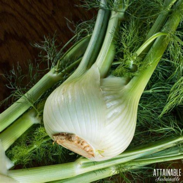What part of fennel do you use?