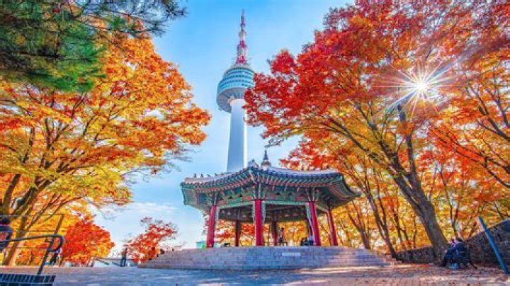 What part of Korea is BTS from?