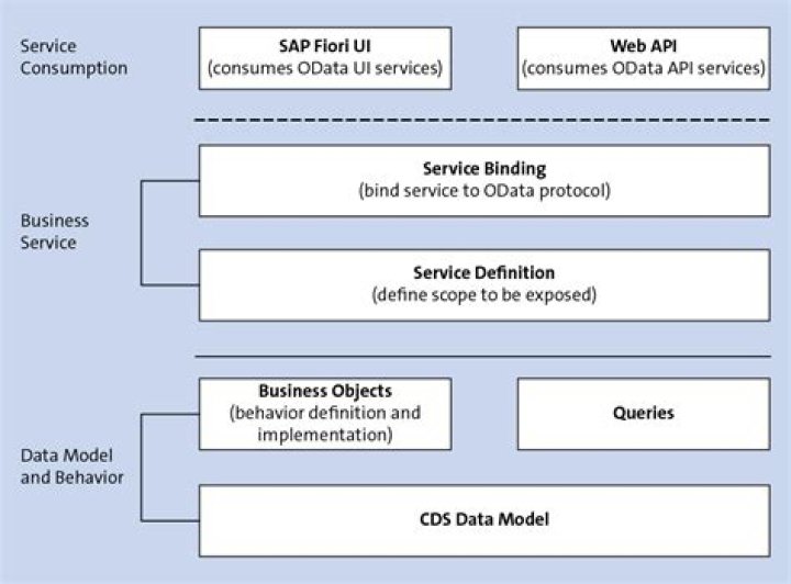 What programming language does SAP use?