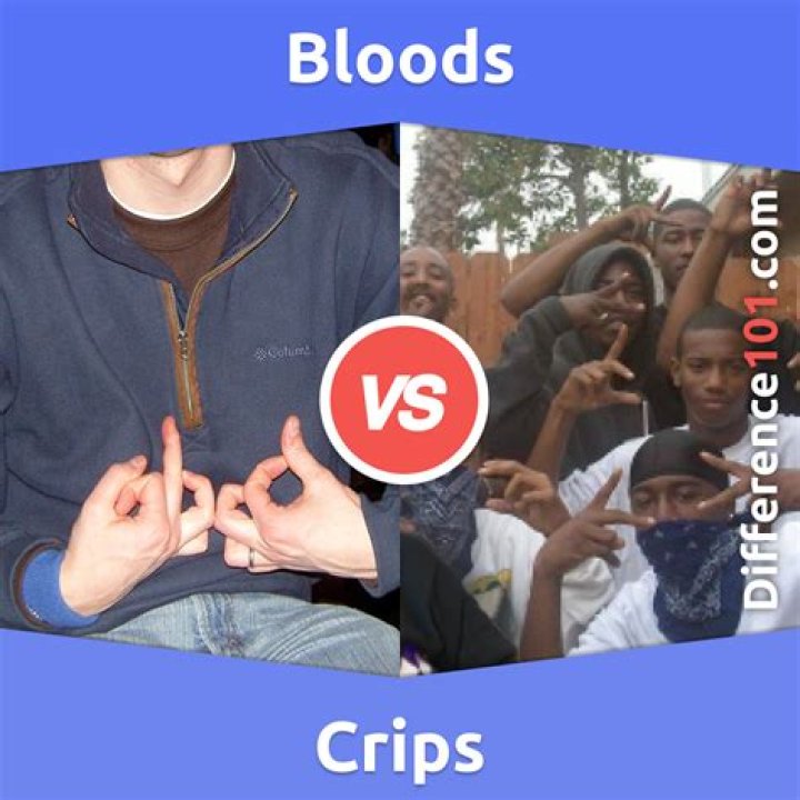 What started Bloods and Crips?