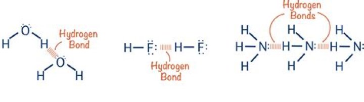Which elements can take part in hydrogen bonding?